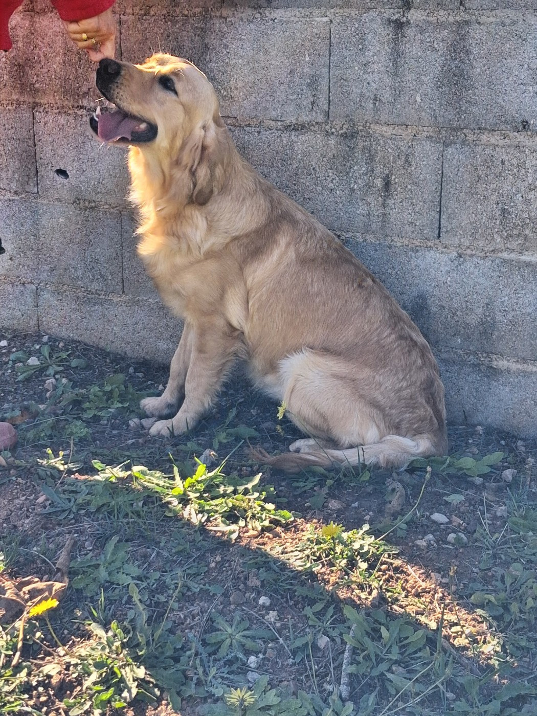 VICTOIRE  des carrieres de poincy